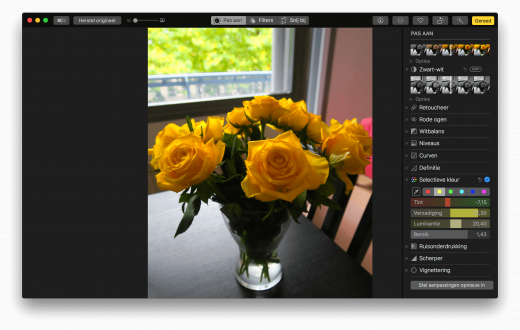 "Selectieve kleur" laat je opties voor 1 kleur aanpassen in een foto